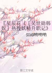 〖Star Flower 